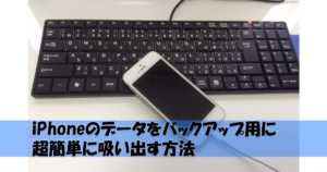 iPhoneの写真や動画を吸い出す超簡単なバックアップ用方法『iFunbox』