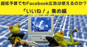 Facebook広告費1万円で何いいね買えるか検証した予想外の結果